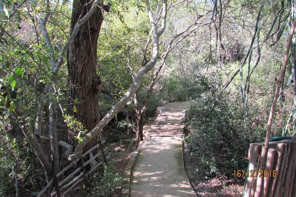 Photo of Outdoor in Thorny Bush Game Reserve