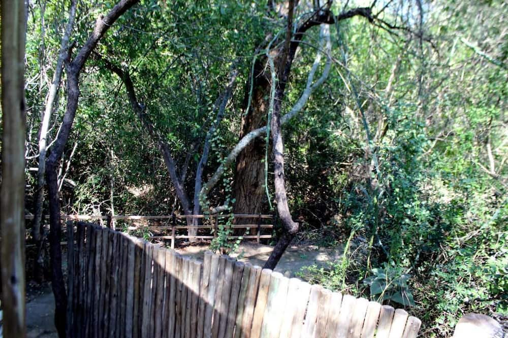 Photo of Outdoor in Thorny Bush Game Reserve