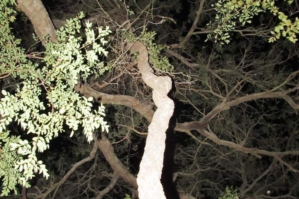 Photo of Outdoor in Thorny Bush Game Reserve