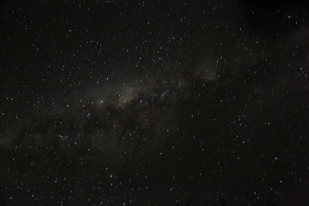 Photo of Others in Thorny Bush Game Reserve