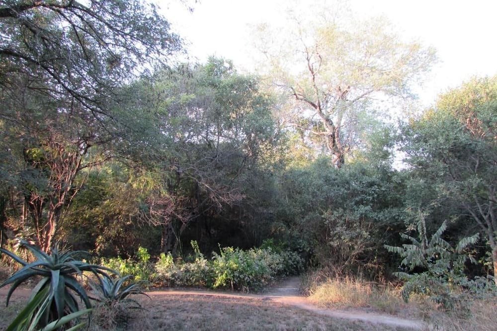 Photo of Outdoor in Thorny Bush Game Reserve