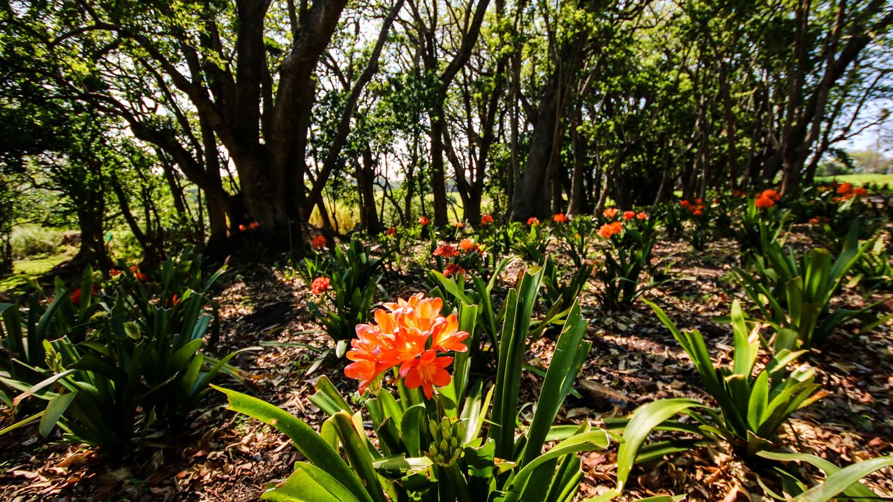 Photo of Outdoor in Chintsa
