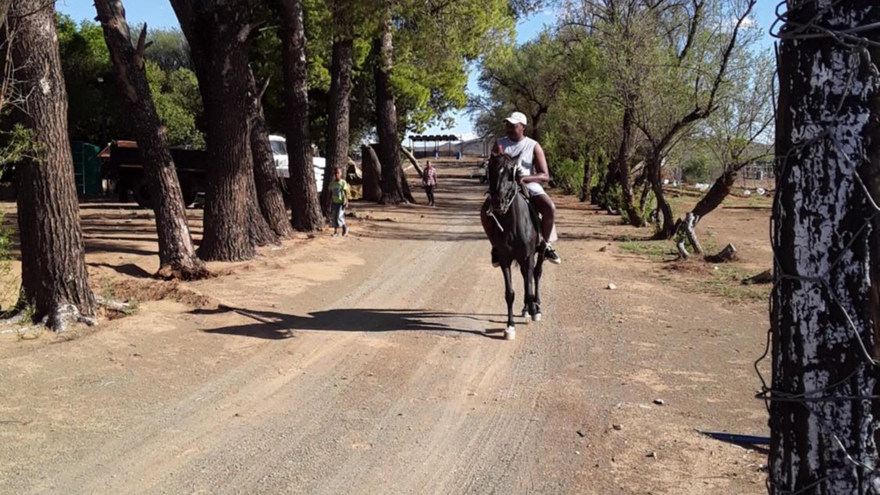 Photo of Others in Kareeberg