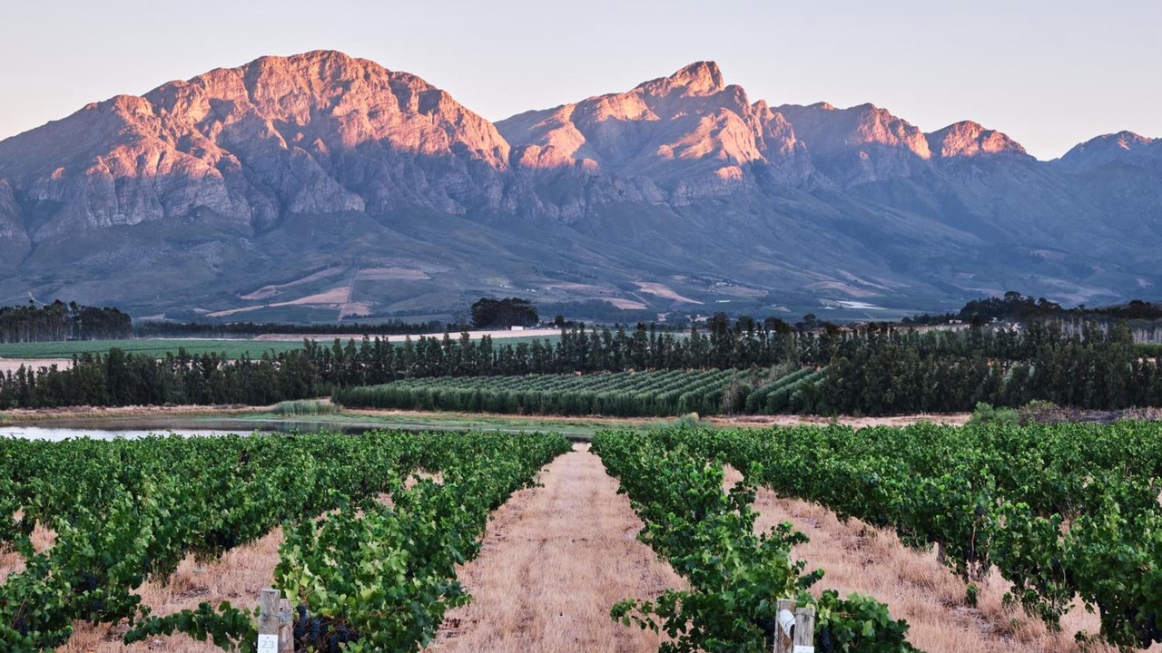 Photo of Outdoor in Tulbagh