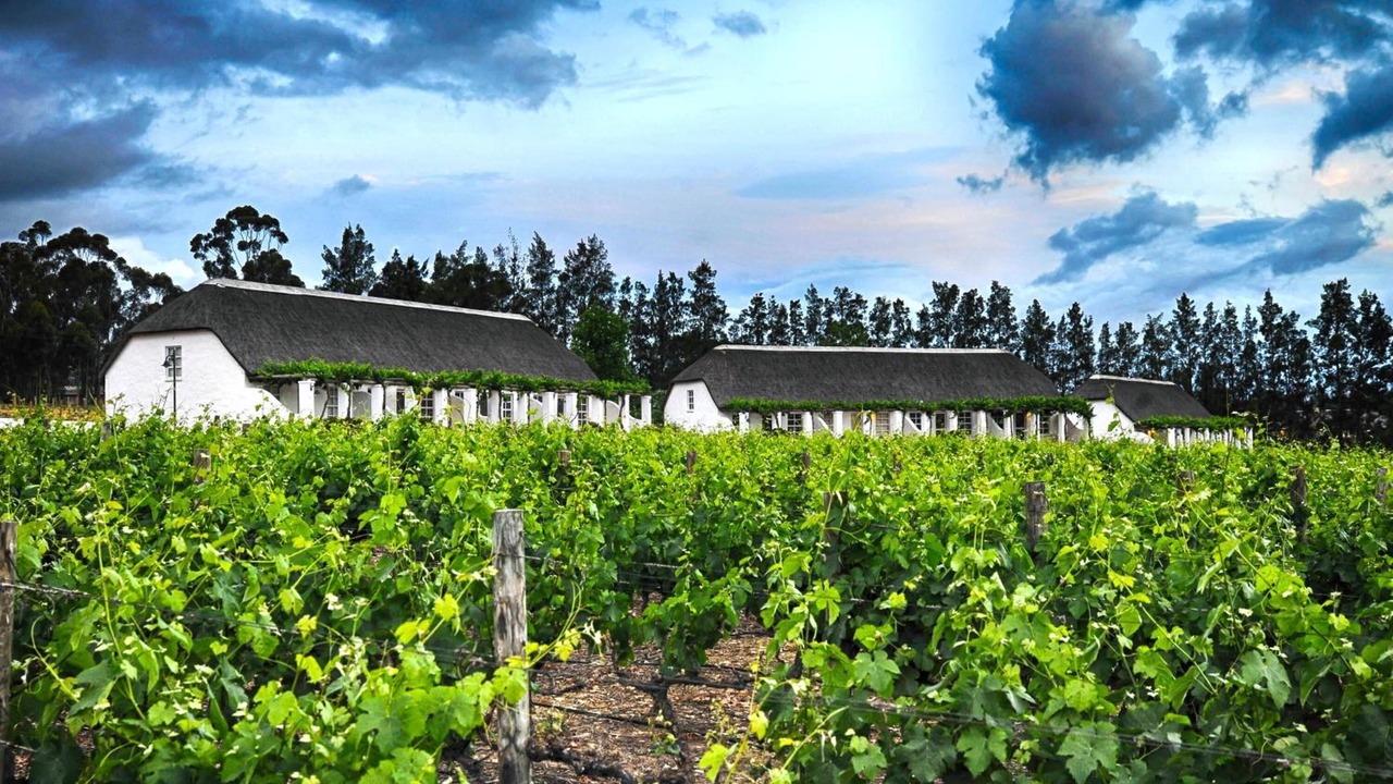 Photo of Outdoor in Tulbagh
