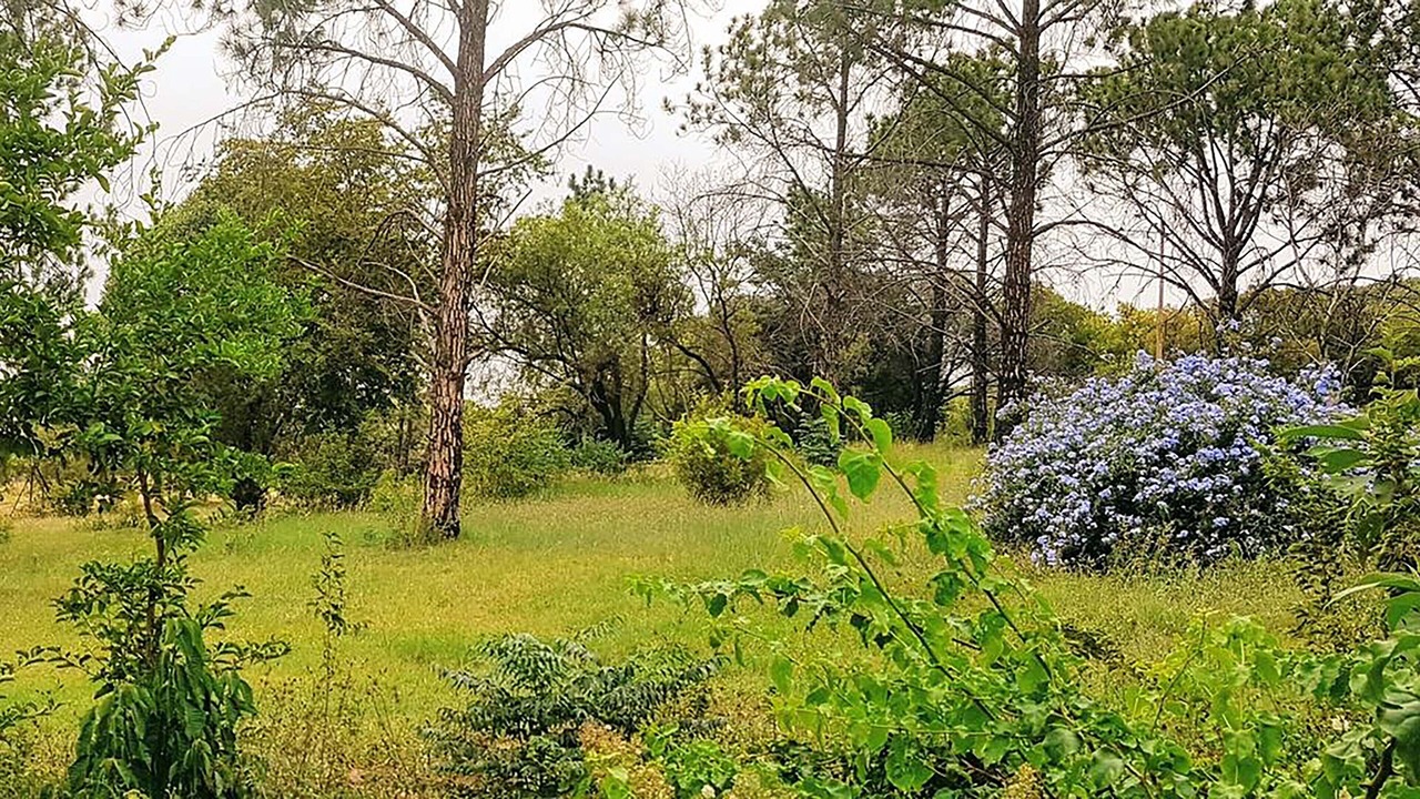 Photo of Outdoor in Pretoria