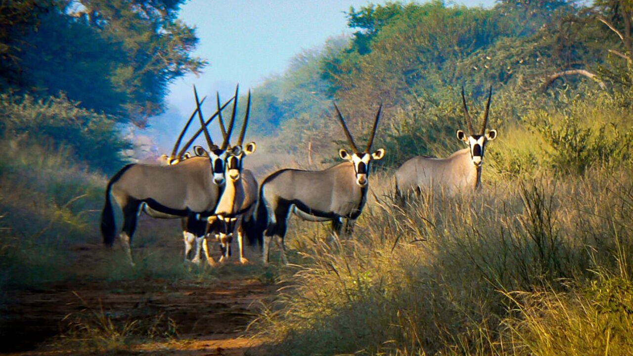 Photo of Others in Pretoria