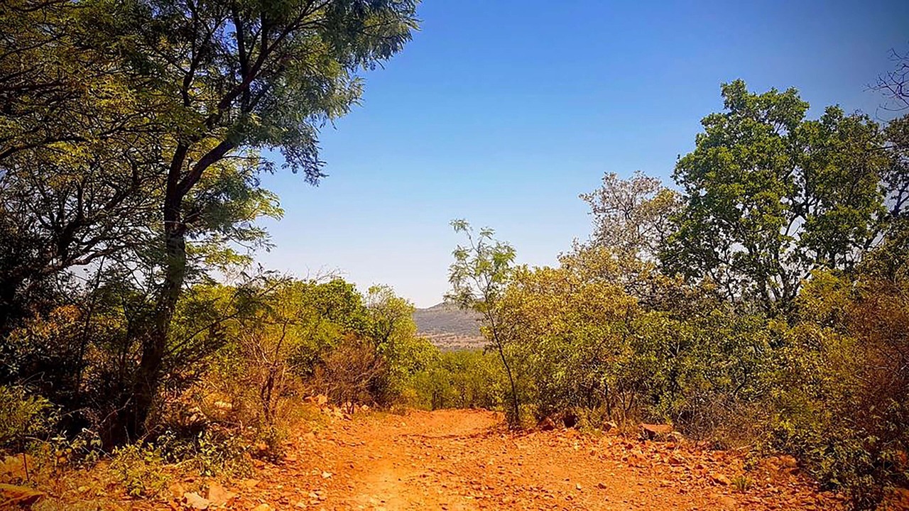 Photo of Others in Pretoria