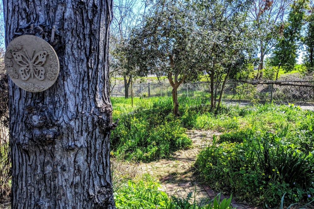 Photo of Outdoor in North Oak Park
