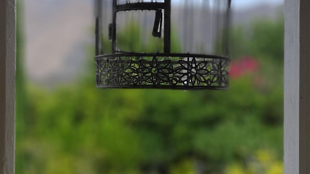 Photo of Outdoor in Montagu