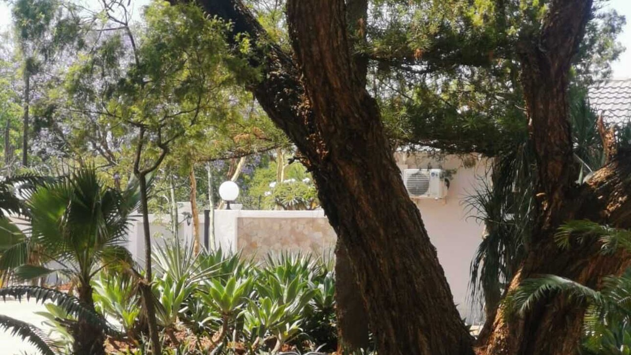 Photo of Outdoor in Polokwane