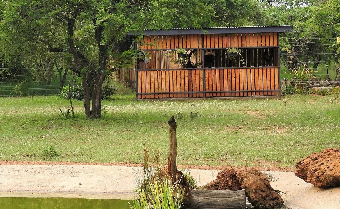 Photo of Others in Hammanskraal