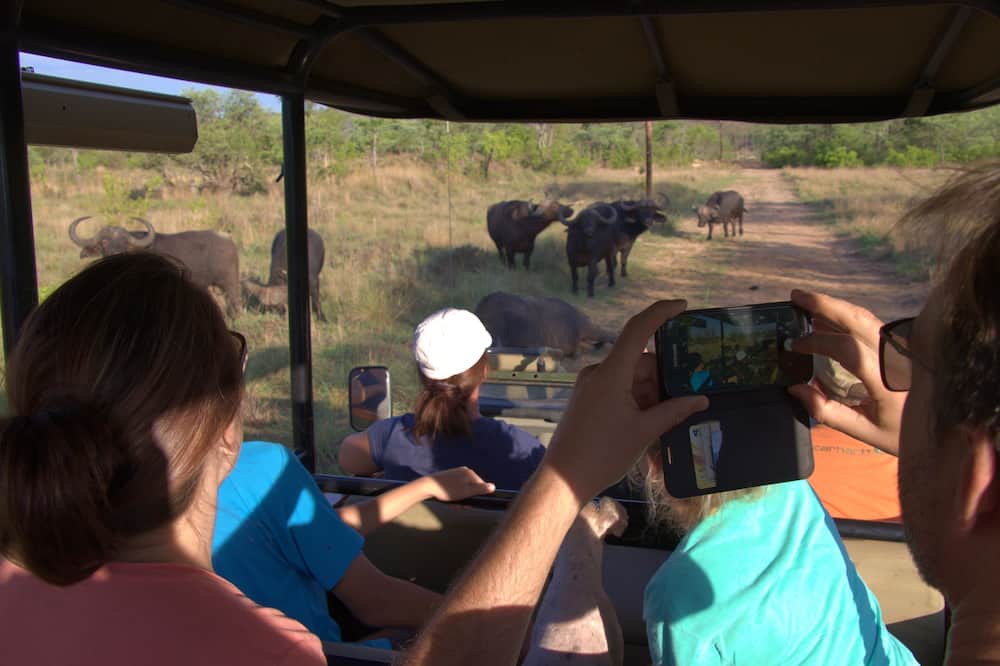 Photo of Others in Waterberg