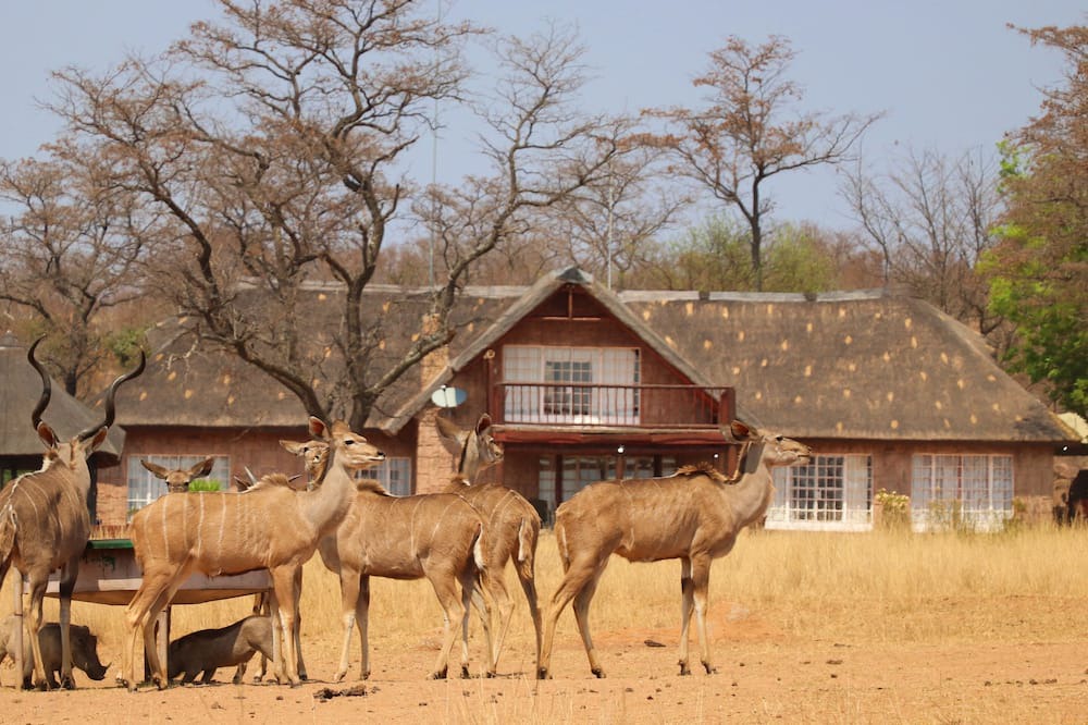 Photo of Others in Waterberg