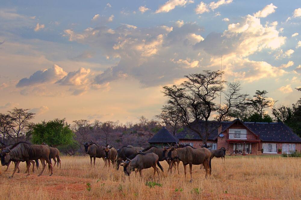 Photo of Others in Waterberg