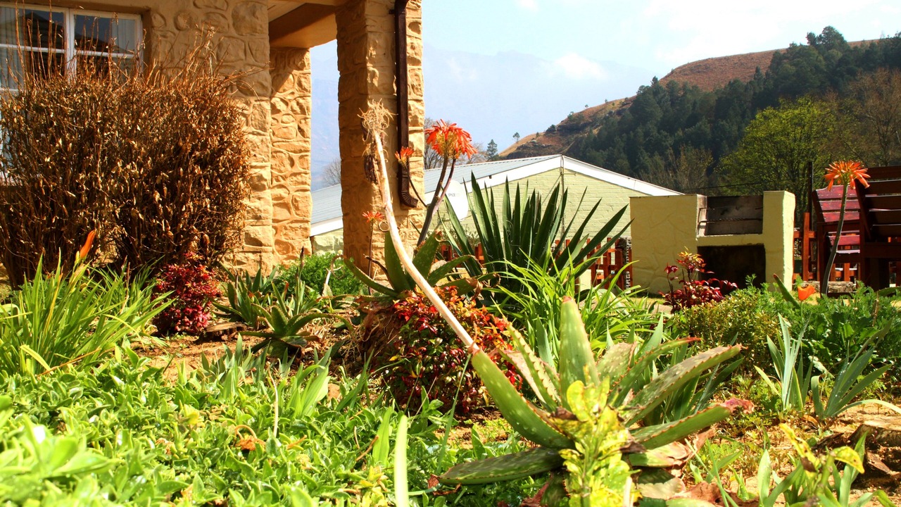 Photo of Outdoor in Drakensberg Gardens