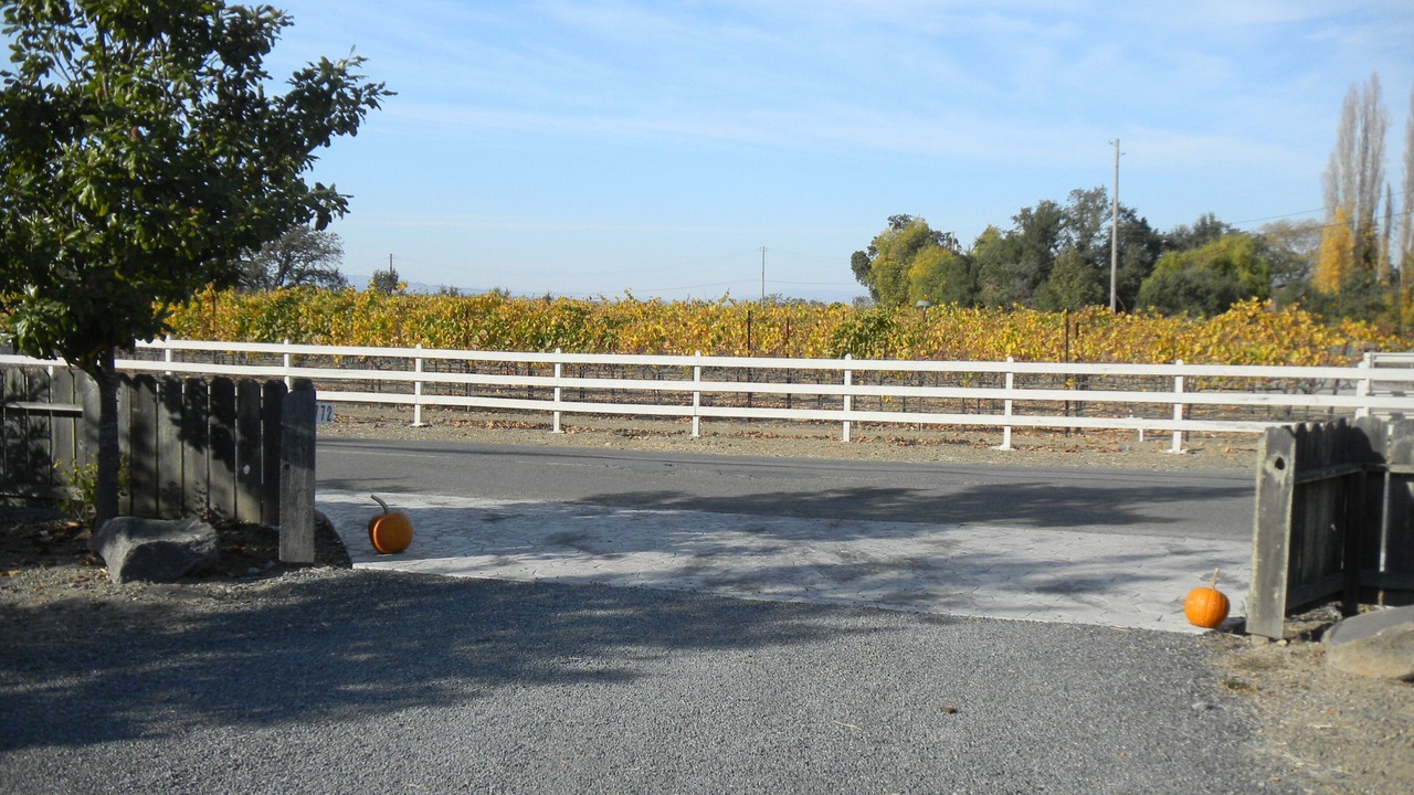 Photo of Outdoor in Santa Rosa
