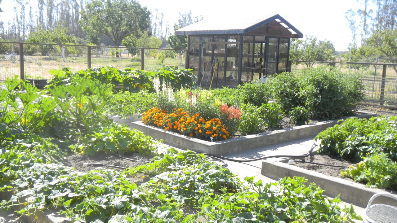 Photo of Outdoor in Santa Rosa