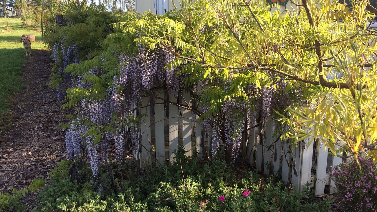 Photo of Outdoor in Santa Rosa