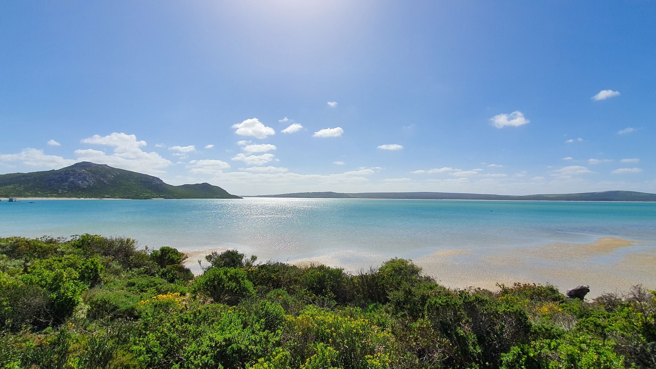 Photo of Others in Yzerfontein