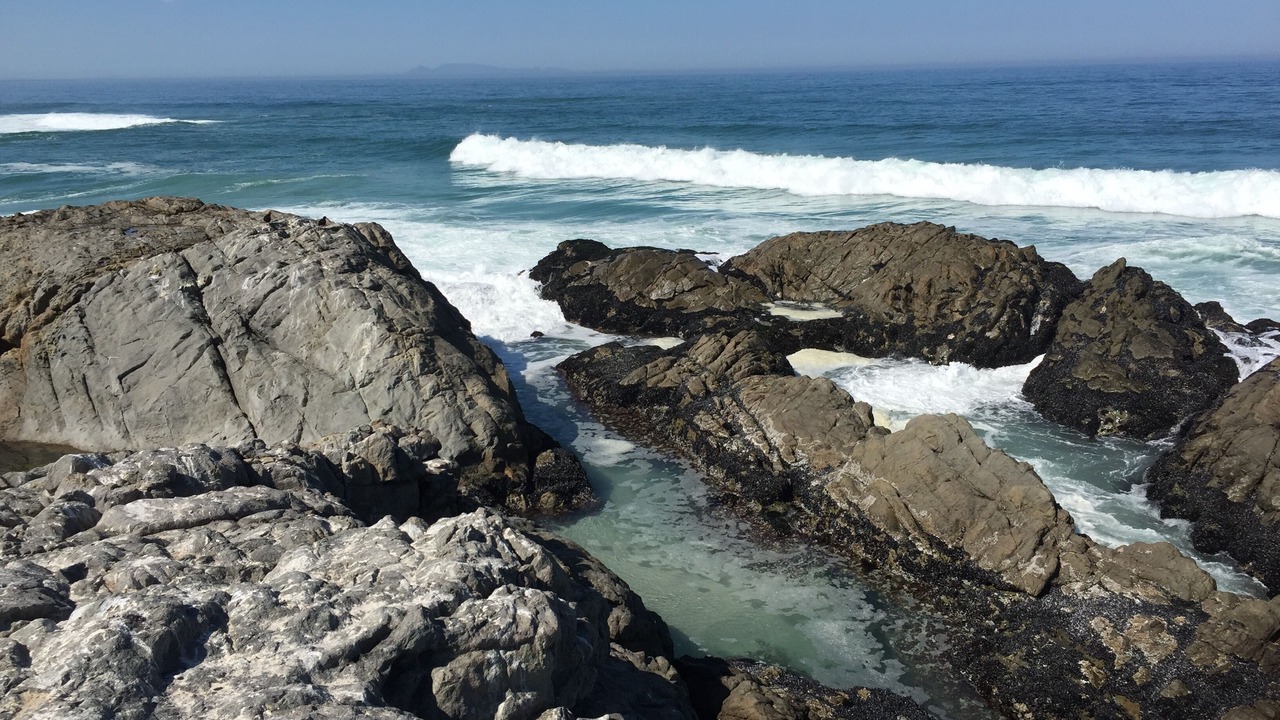 Photo of Others in Yzerfontein