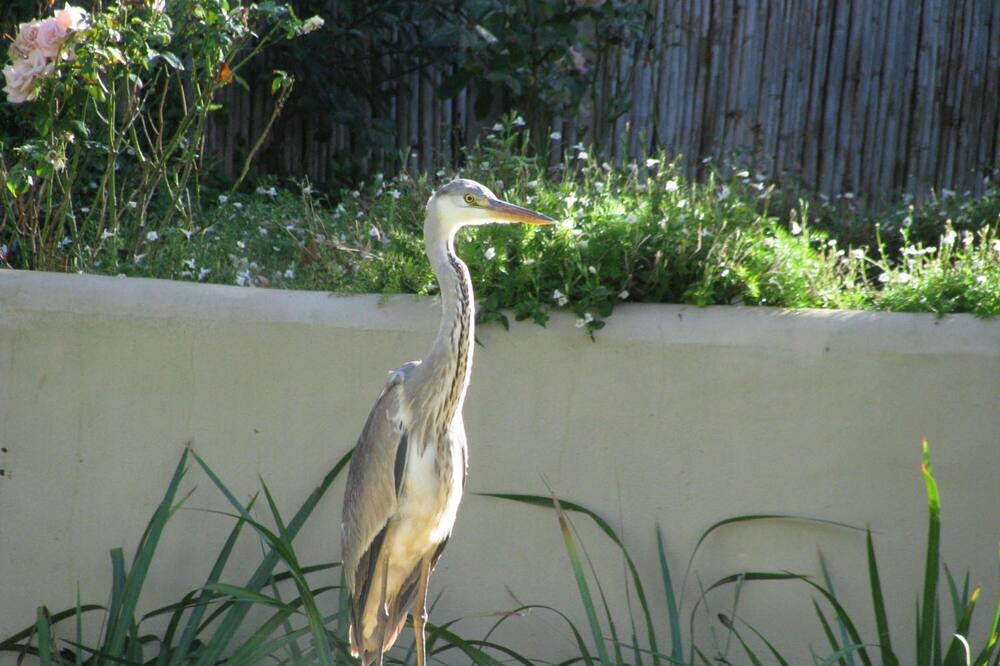 Photo of Outdoor in Riebeeck West