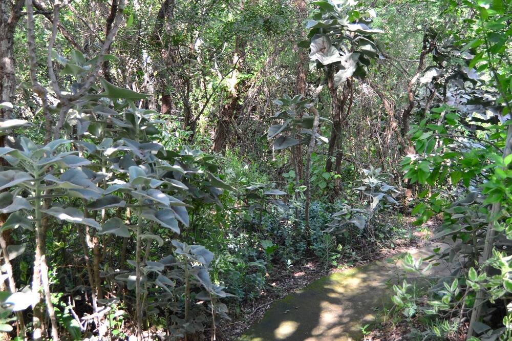 Photo of Outdoor in Thorny Bush Game Reserve