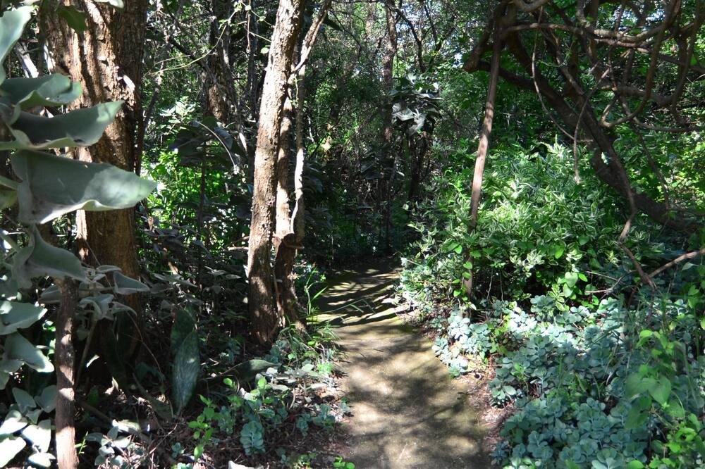 Photo of Outdoor in Thorny Bush Game Reserve