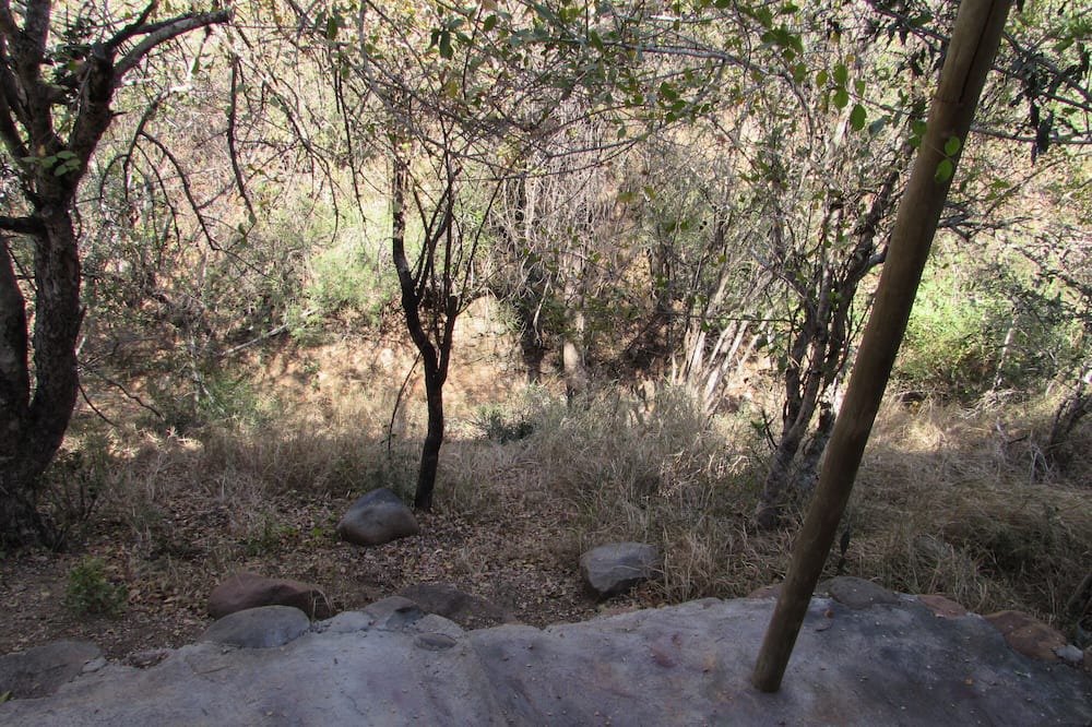 Photo of Outdoor in Thorny Bush Game Reserve