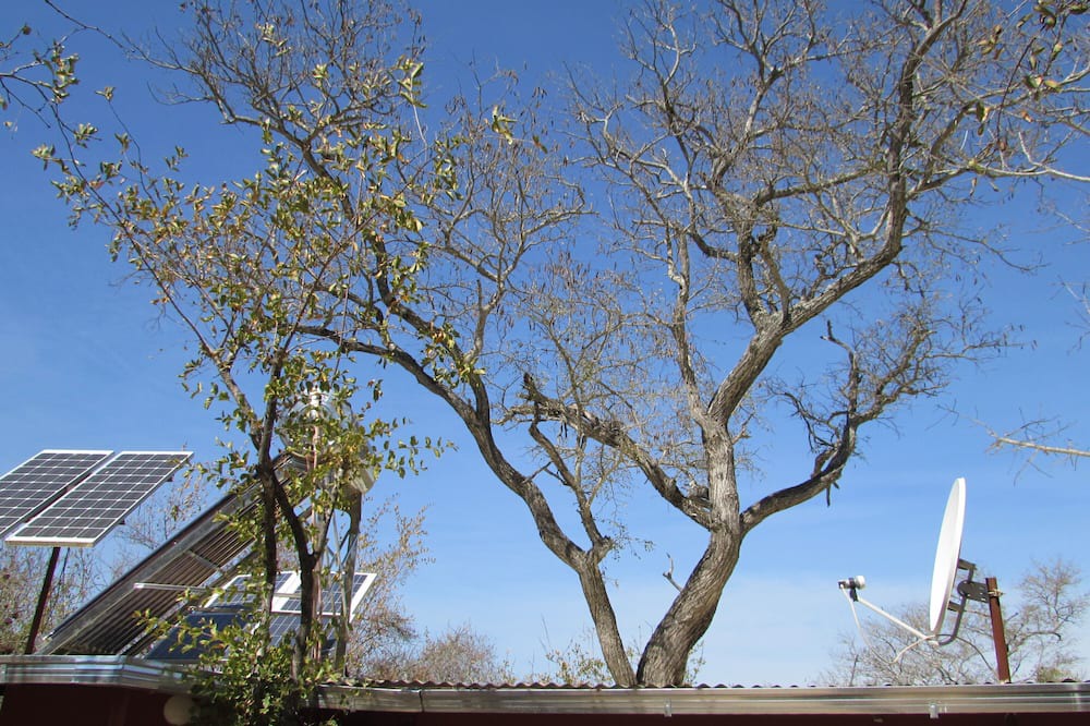 Photo of Others in Thorny Bush Game Reserve