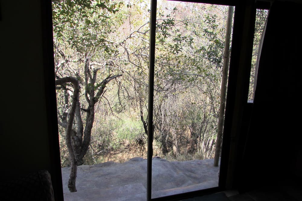 Photo of Others in Thorny Bush Game Reserve