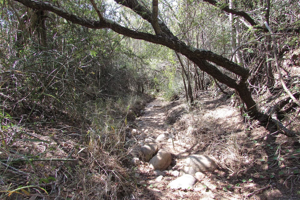 Photo of Outdoor in Thorny Bush Game Reserve