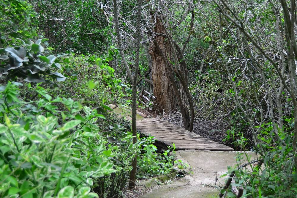 Photo of Outdoor in Thorny Bush Game Reserve