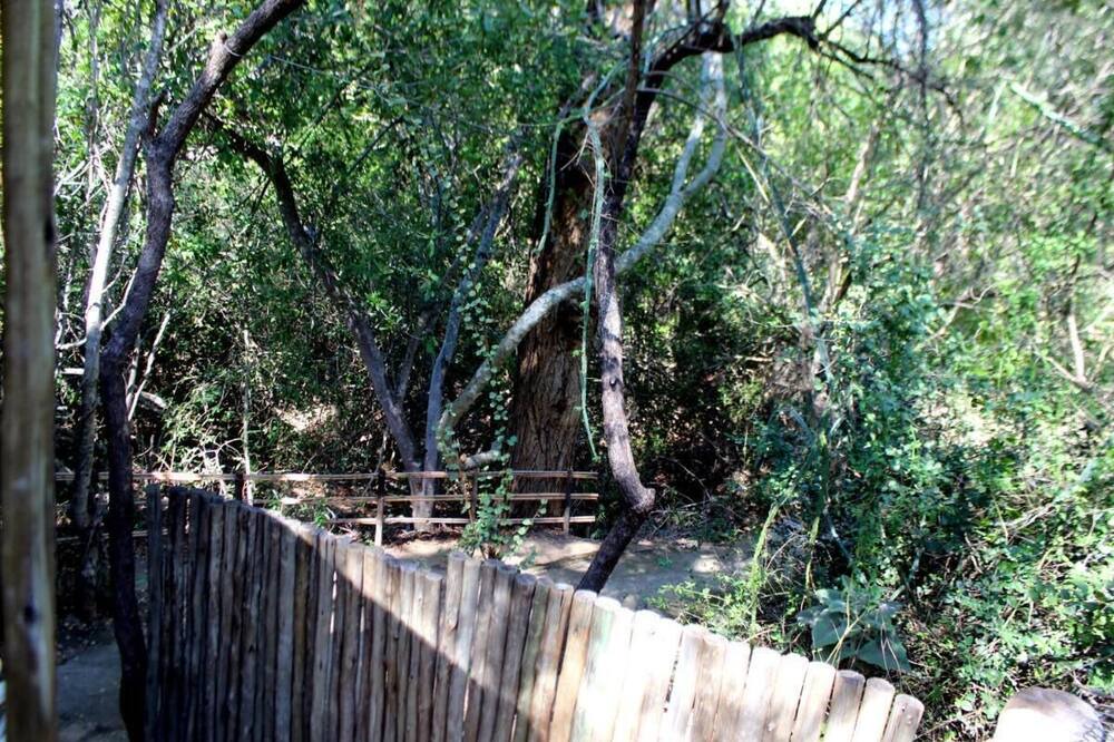 Photo of Outdoor in Thorny Bush Game Reserve