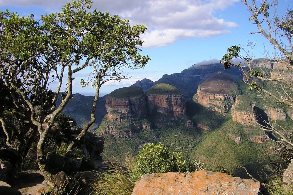 Photo of Others in Thorny Bush Game Reserve