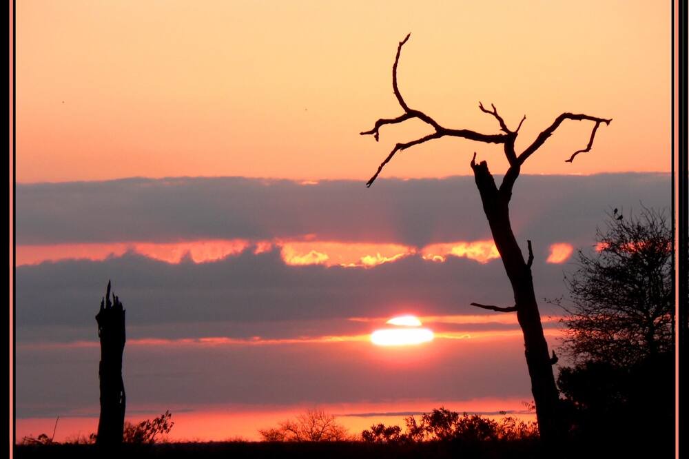 Photo of Others in Thorny Bush Game Reserve
