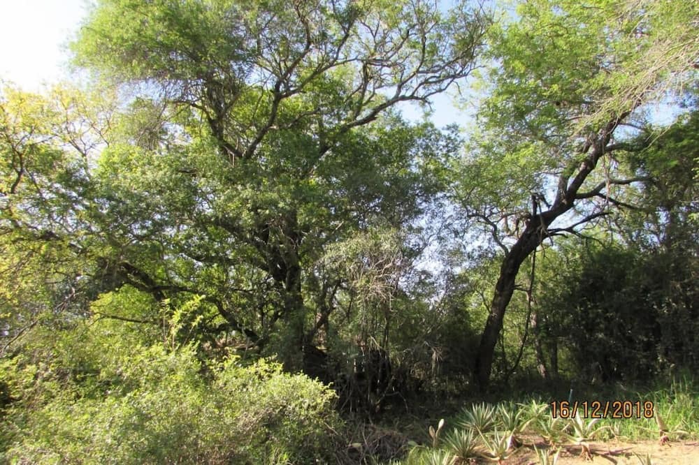 Photo of Outdoor in Thorny Bush Game Reserve