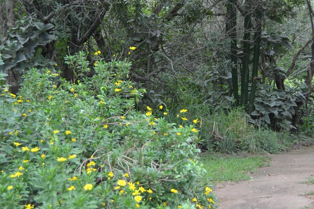 Photo of Outdoor in Thorny Bush Game Reserve