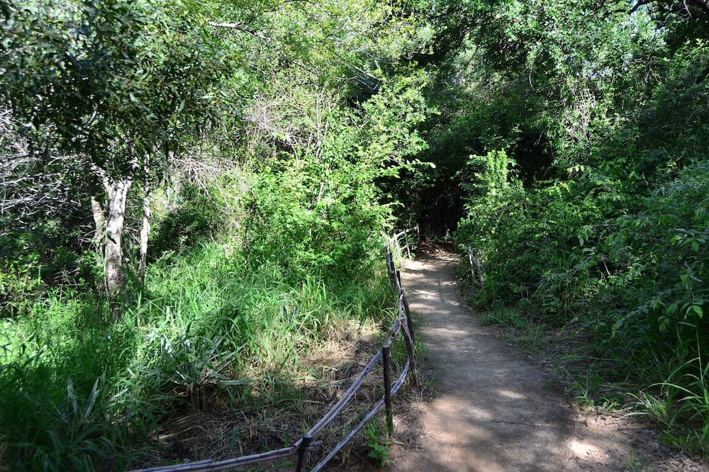 Photo of Outdoor in Thorny Bush Game Reserve