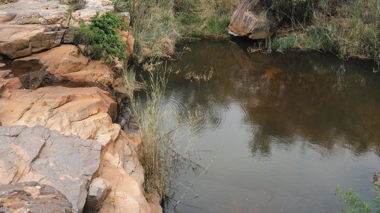 Photo of Others in Waterberg