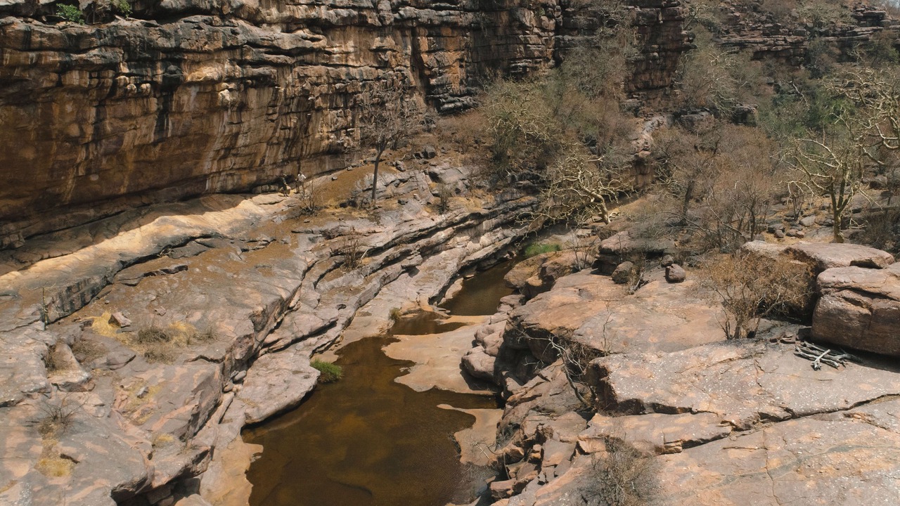 Photo of Others in Waterberg