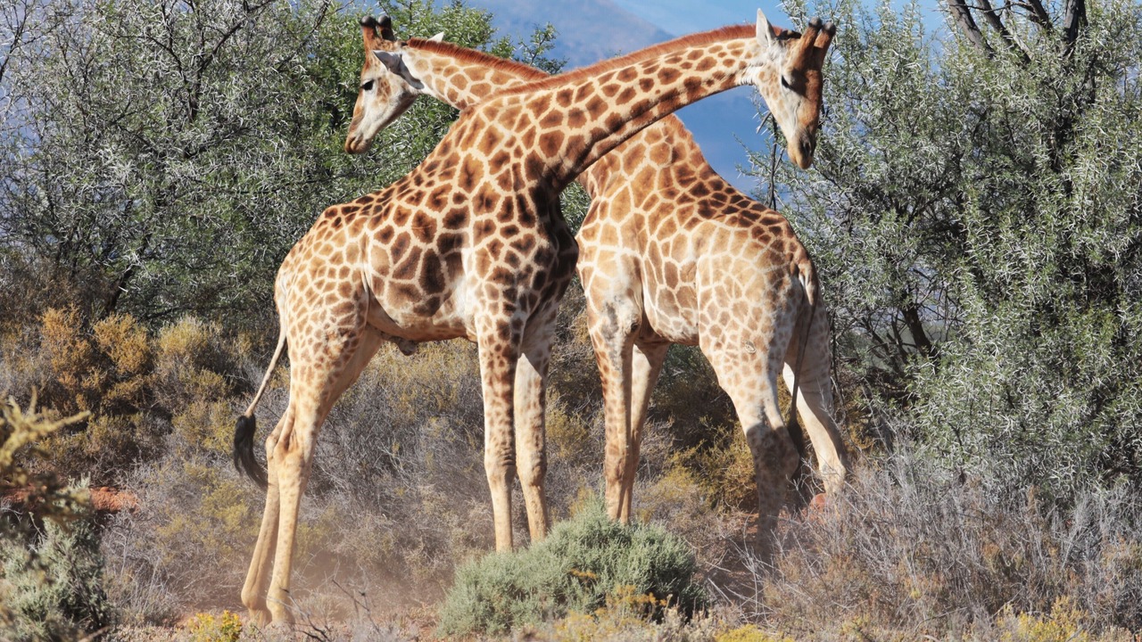 Photo of Outdoor in Maruleng