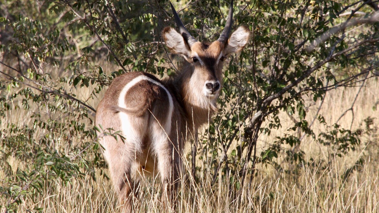 Photo of Others in Maruleng