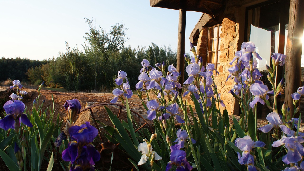Photo of Outdoor in Tonteldoos