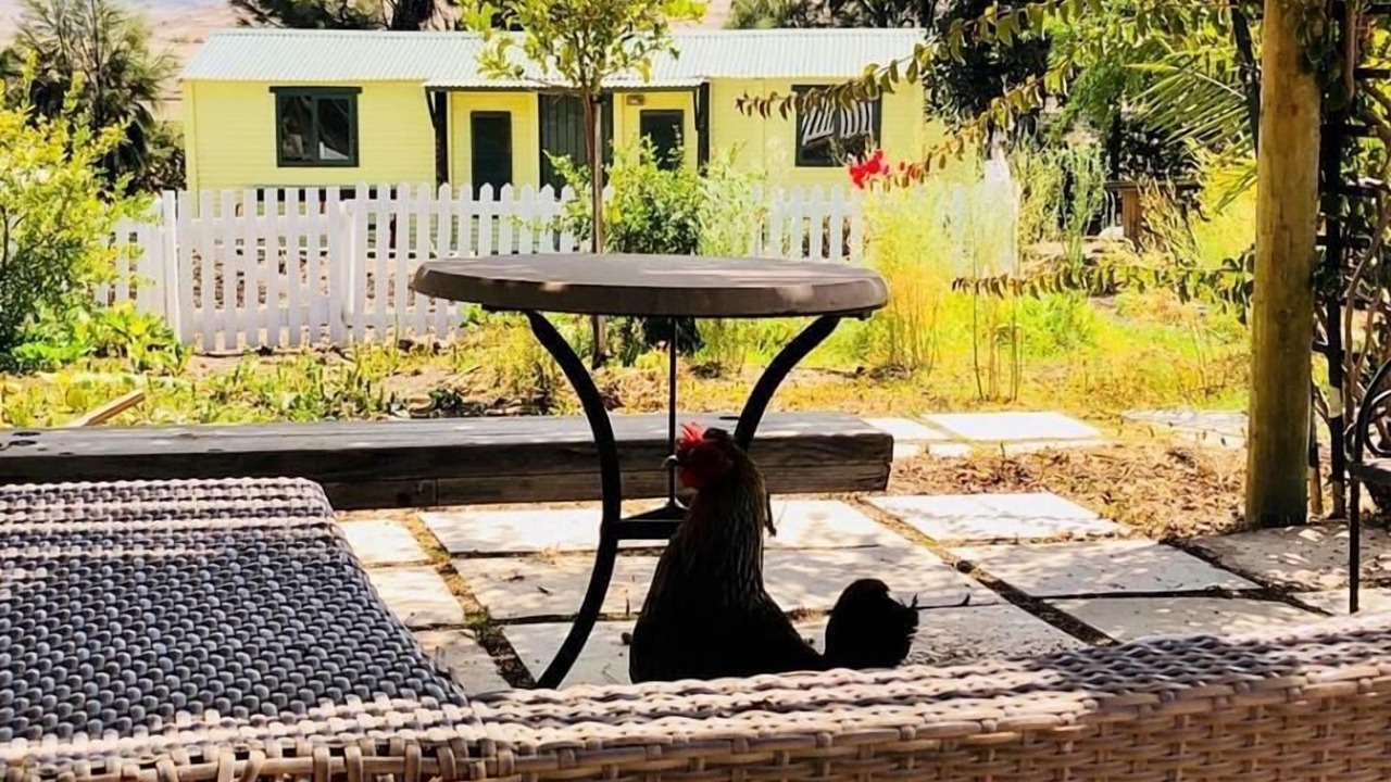 Photo of Patio Balcony in Trawal