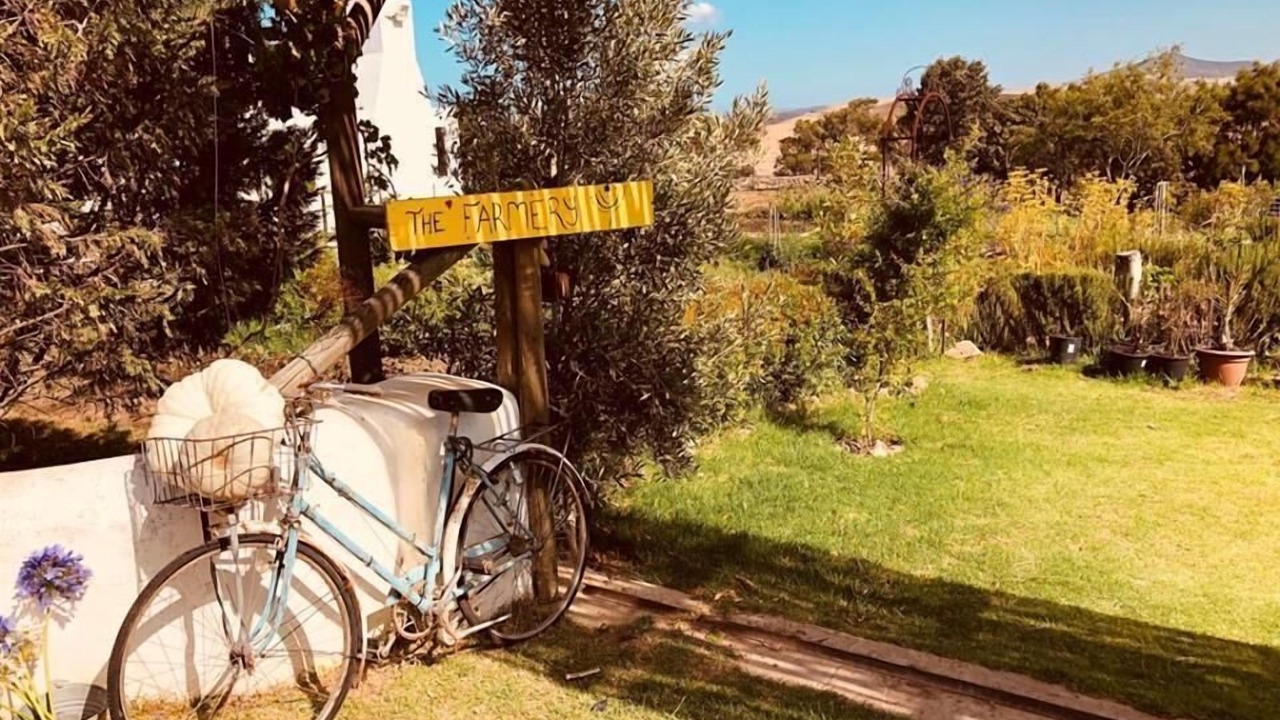 Photo of Outdoor in Trawal