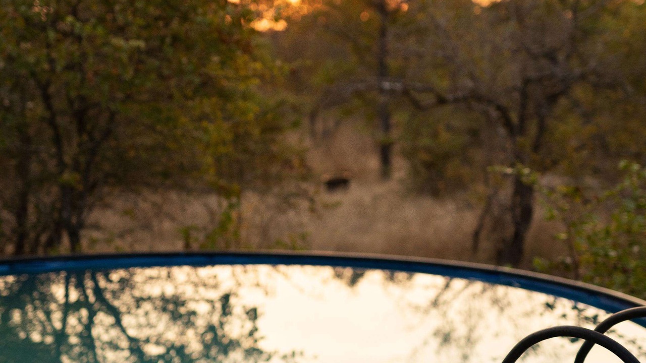 Photo of Outdoor in Kruger National Park