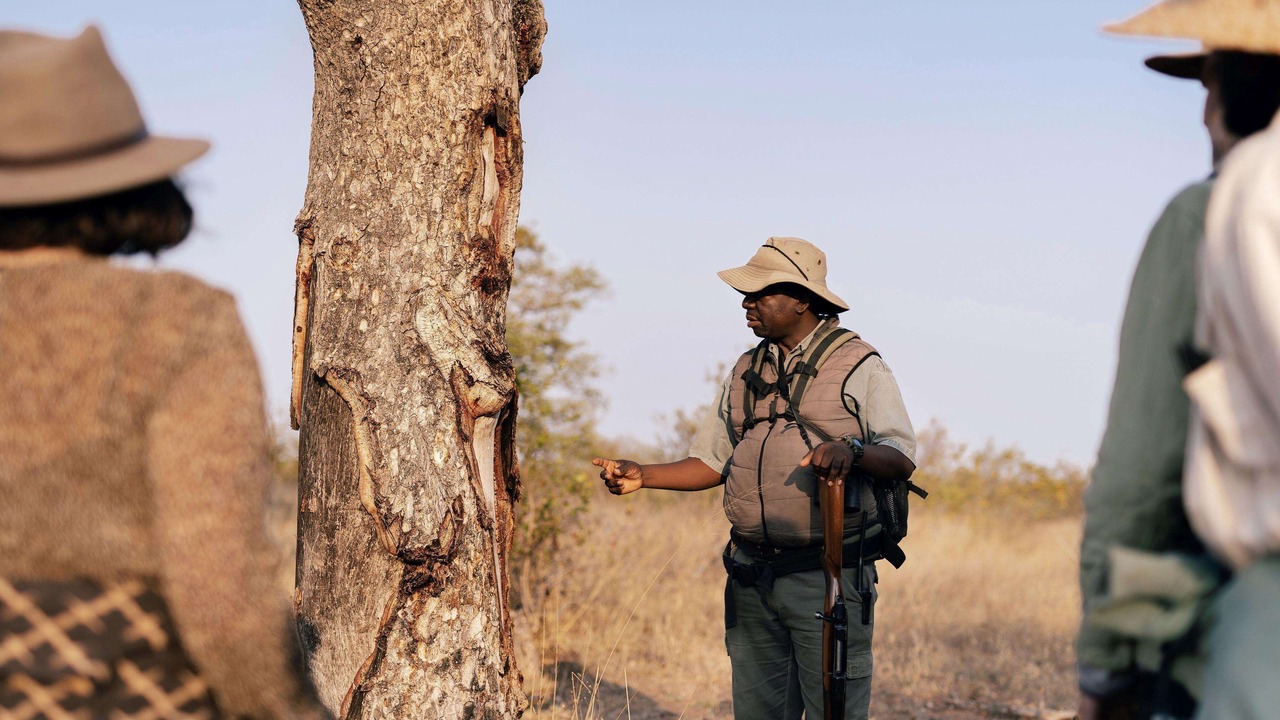 Photo of Others in Kruger National Park