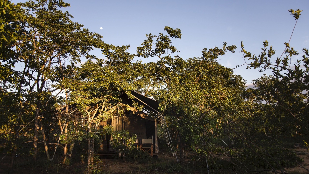 Photo of Outdoor in Kruger National Park