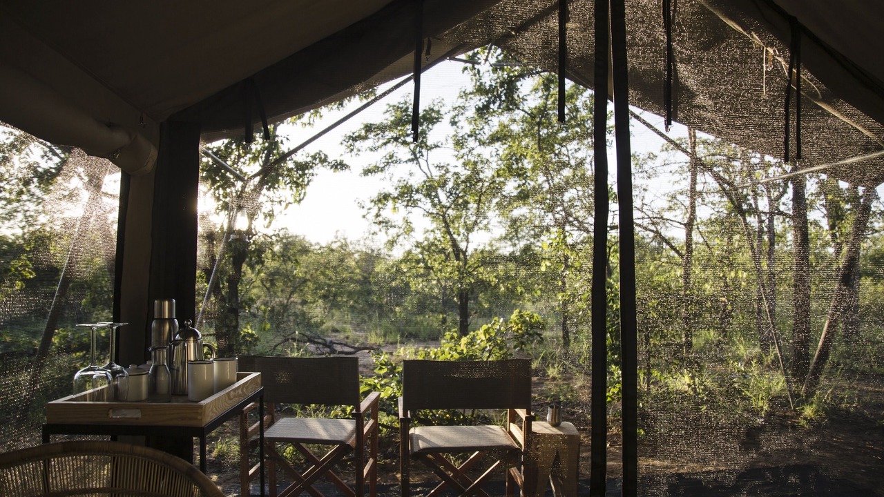 Photo of Others in Kruger National Park
